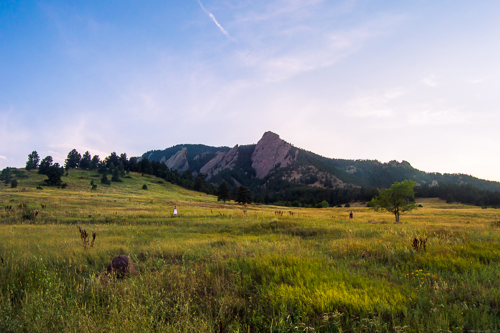 Looking across a meadow to the Flatirons