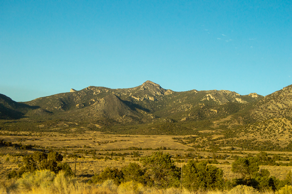 Rocky and forested mountain range
