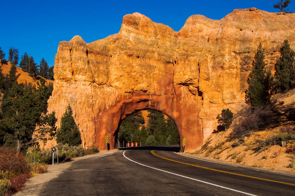 A drive-through arch on the highway road.