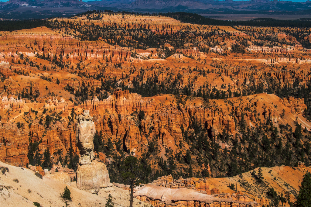 Northern section of Bryce Canyon Amphitheater
