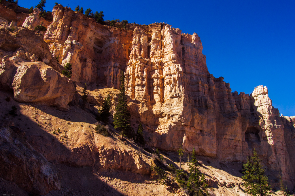 A photo displaying examples of windows, hoodoos, and canyon erosion.