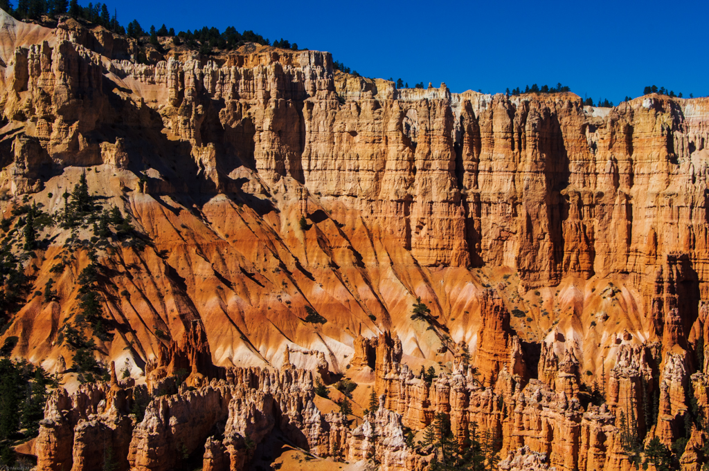 Full view of a side of Bryce Canyon, walls top to bottom