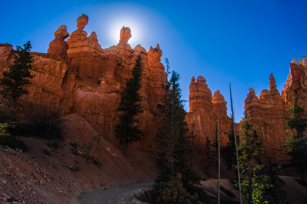 A series of round hoodoos, backlit by the sun