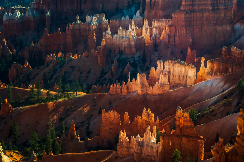 A close up of the hoodoos at Sunrise Point