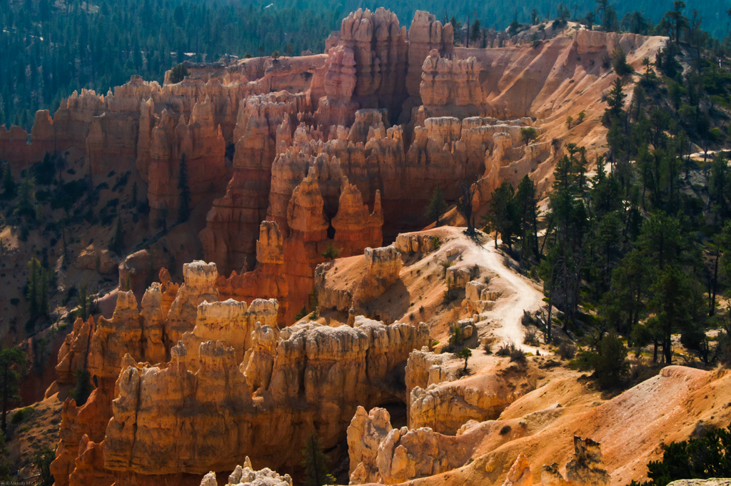 The trail runs along the canyon rim, with forest on one side and hoodoos on the other.