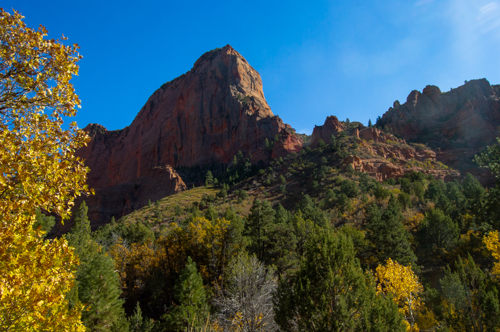 A wall of sandstone towering over the trail with green trees leading up to it
