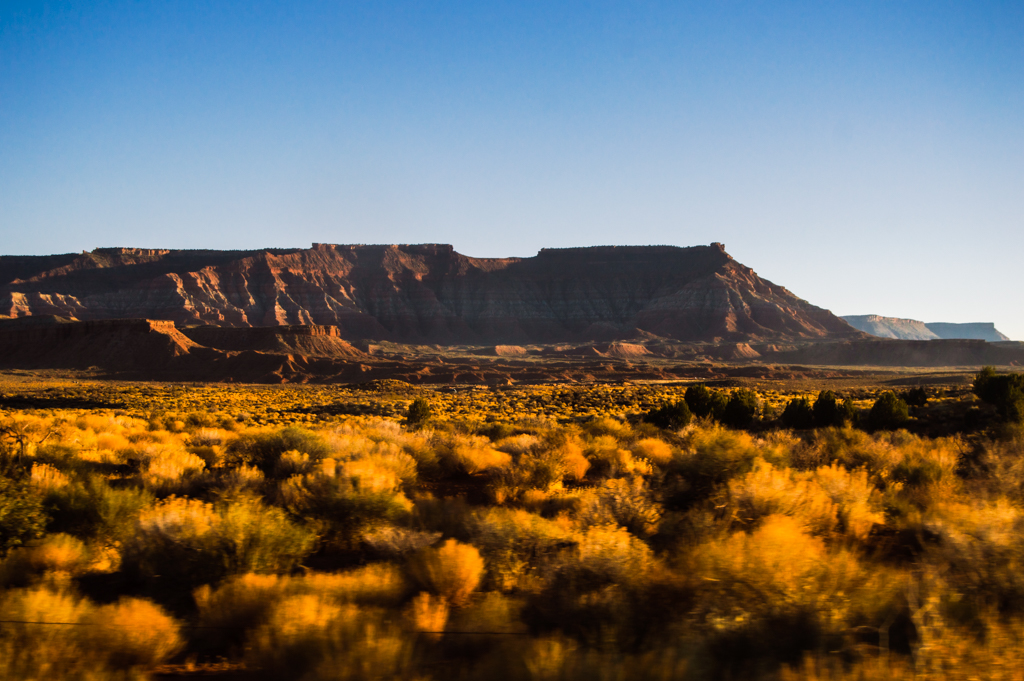 Desert brush in the foreground with the steppes of a large plateau cast in golden light.