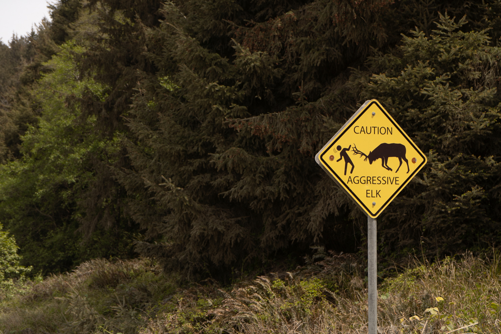A caution sign for aggressive elk