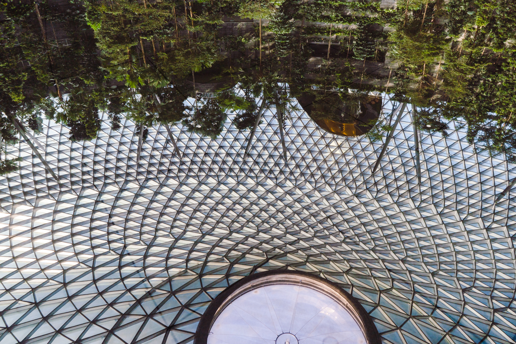 Reflection of Jewel rain vortex in pool