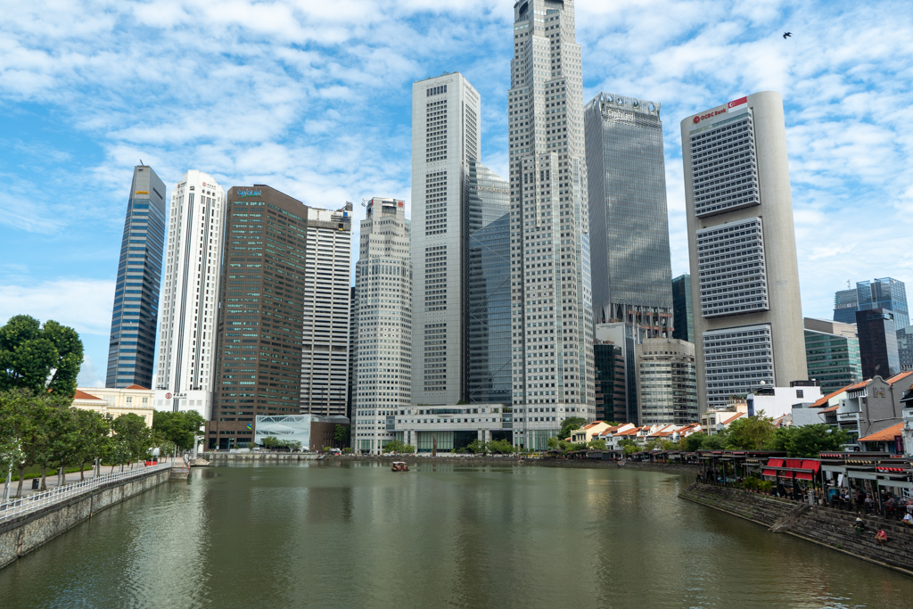 View of Singapore from the Chinatown bridge