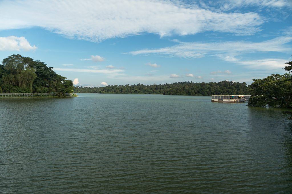 View of the river at the zoo