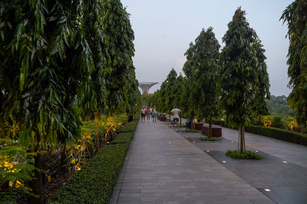 The bridge to the Gardens by the Bay