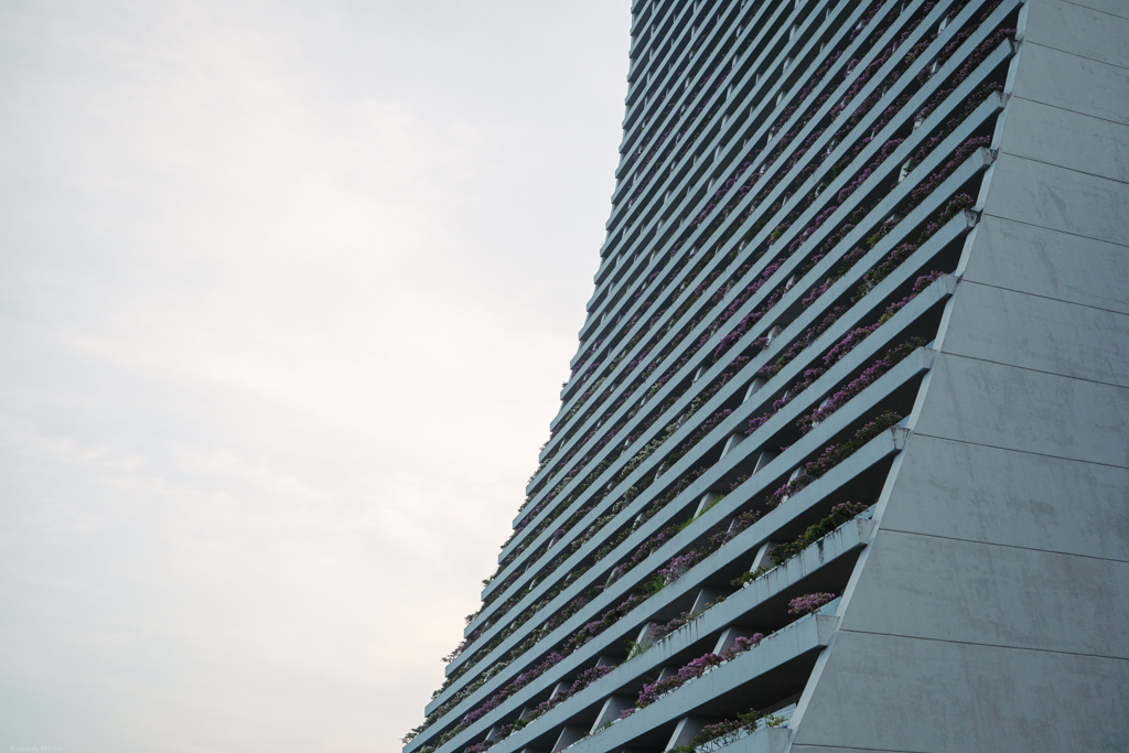 The a profile of the famous Marina Bay Sands