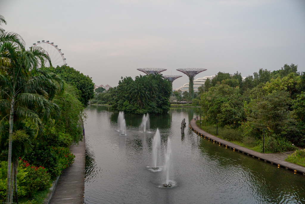 A viewpoint overlooking the gardens