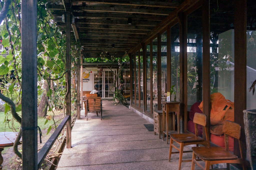 An arbored path with orchid vines hanging down one side