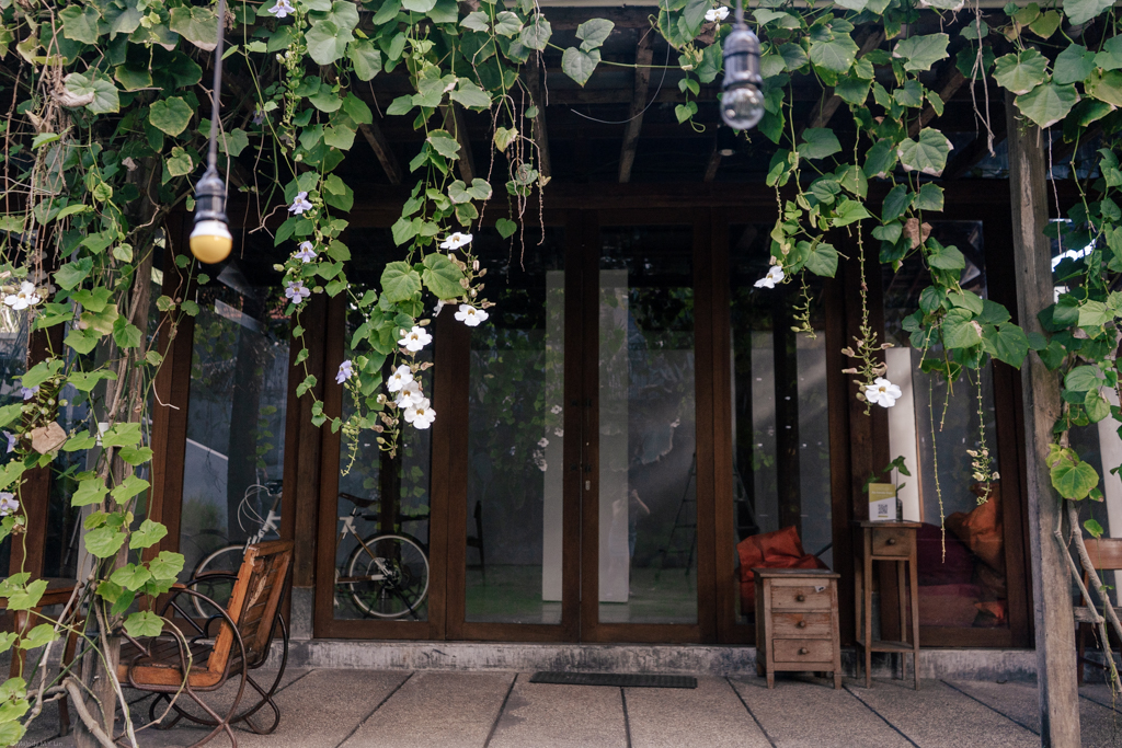 Orchids hanging over the arbor