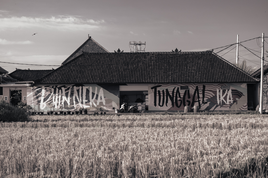 A building with murals and field of grass in front