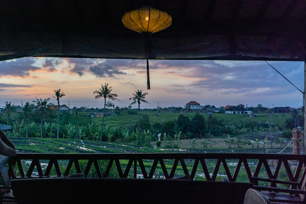 View of Canggu from our table at the restaurant