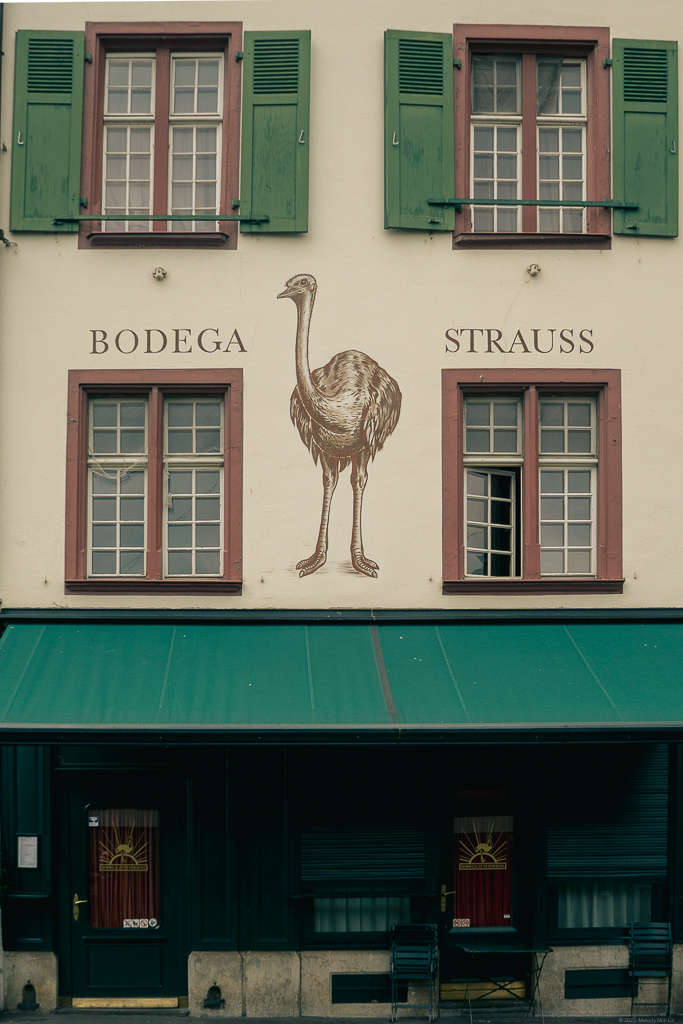 A building with green wooden shutters and an ostrich painted on the front