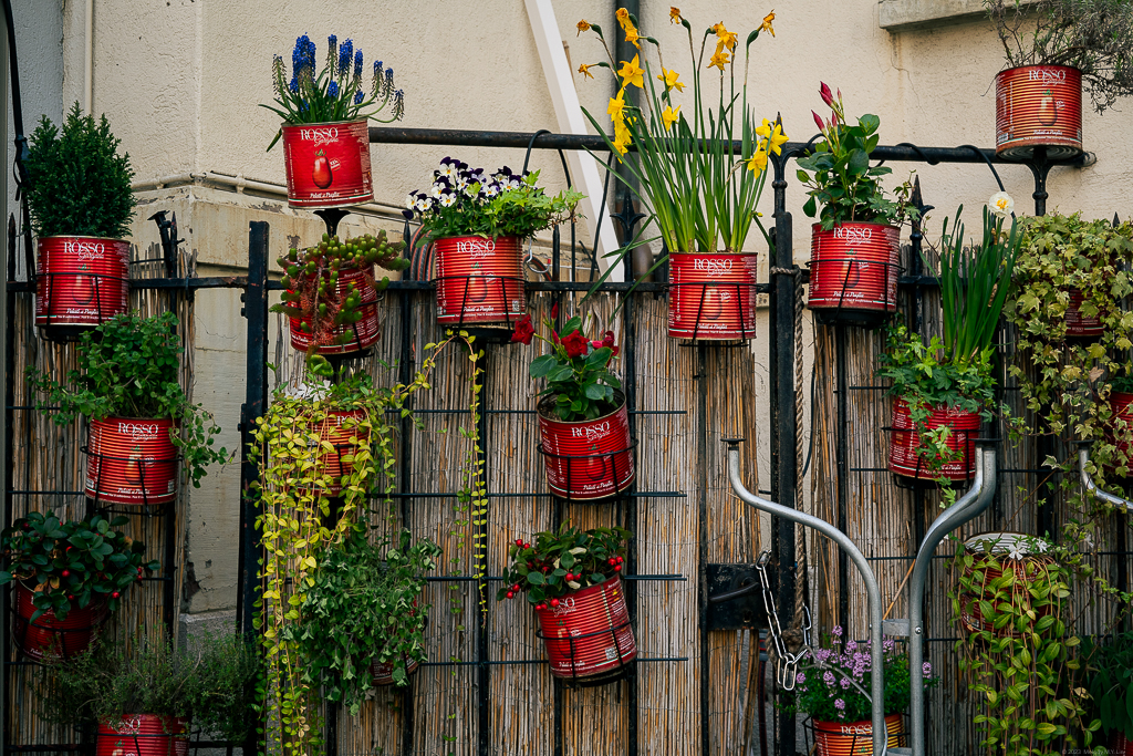 A metal grid with plant holders filled with tomato cans used as flower pots