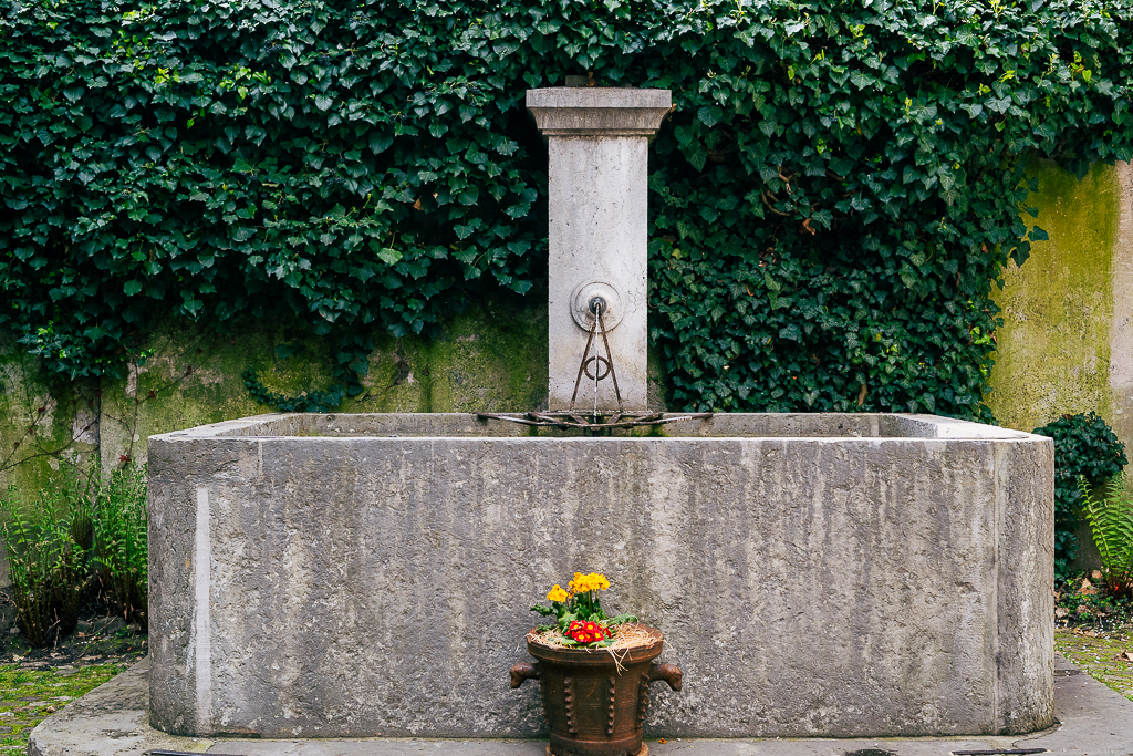 A fountain with a wall covered in ivy