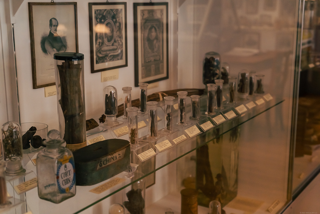 Various preserved minerals, herbs, and animal body parts