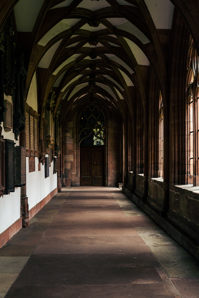 Pointed rib vaults