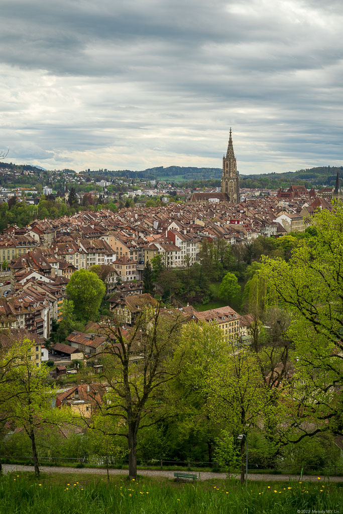 Berner Münster from across the river