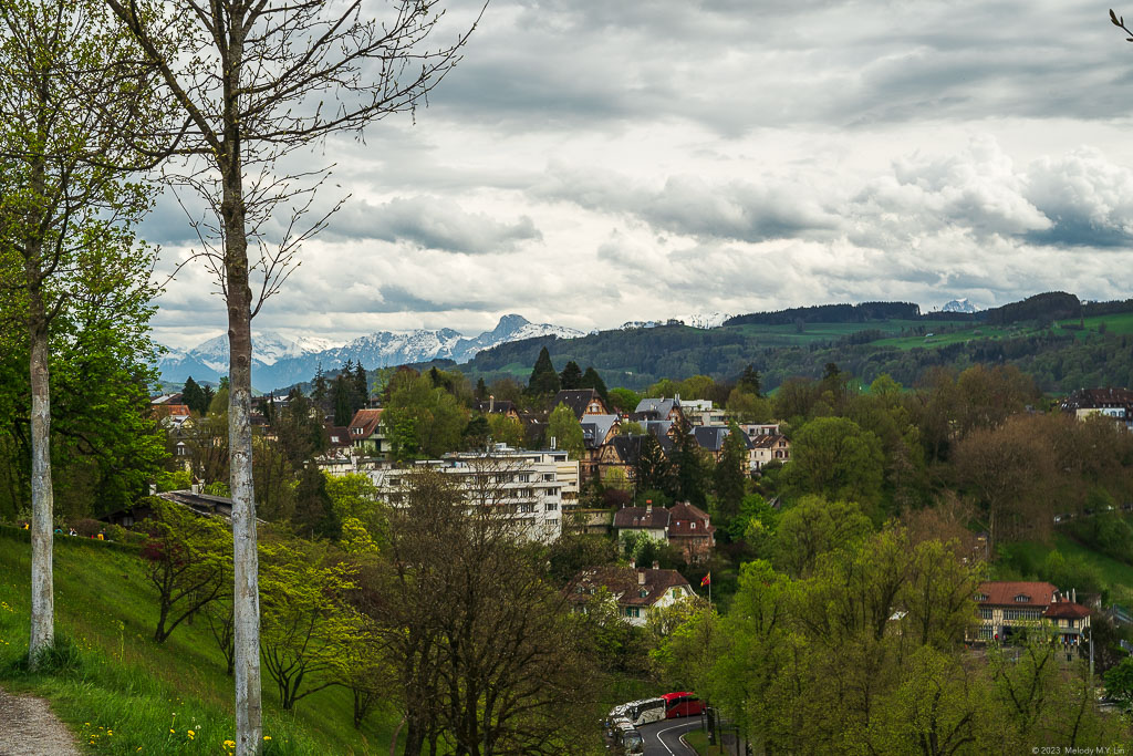 Bernese Alps in the distance