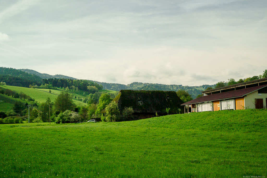 A country house with a mossy roof.