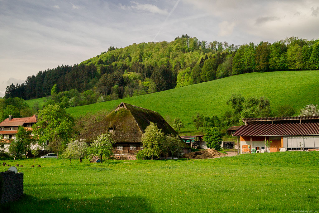 Reminds me of the houses in Shirakawa-go, Japan.