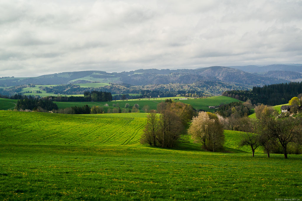 Undulating hills that go on forever.