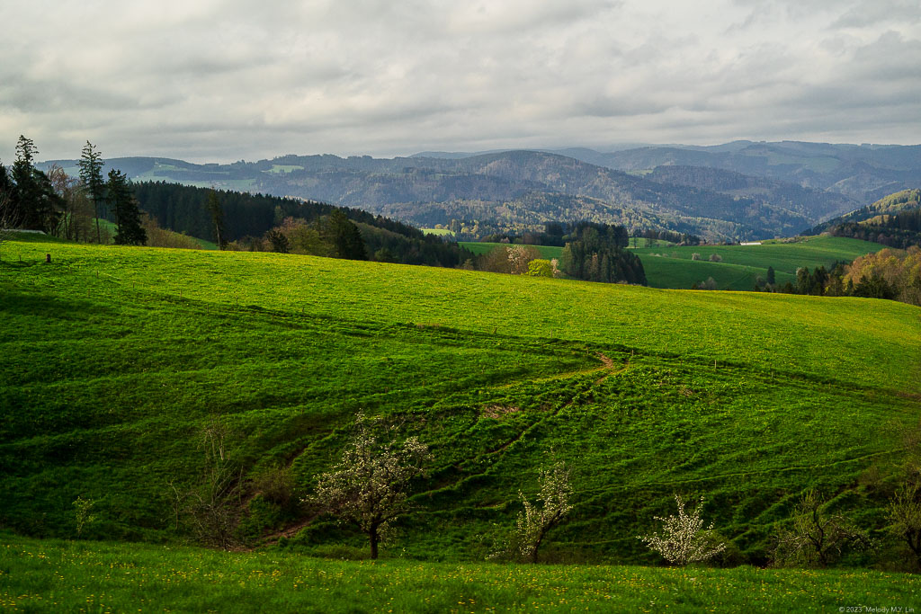 Beautiful gradients of green from chartreuse to deep emerald.