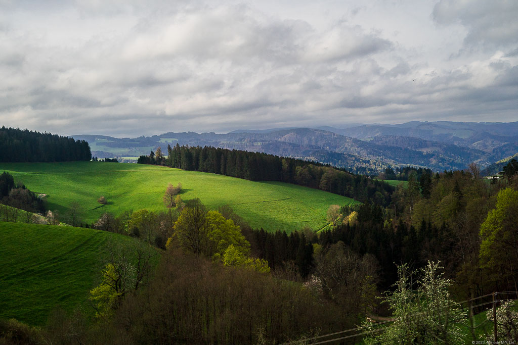 The sunlight kisses the top of the hill.