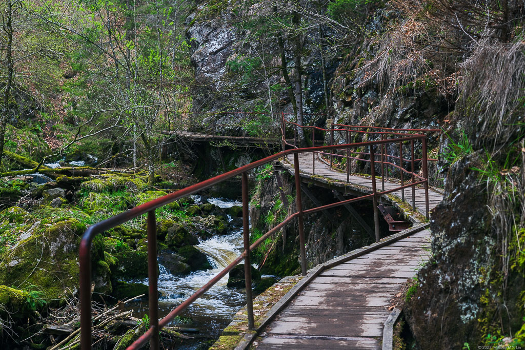 The leisurely boardwalk along the gorge.