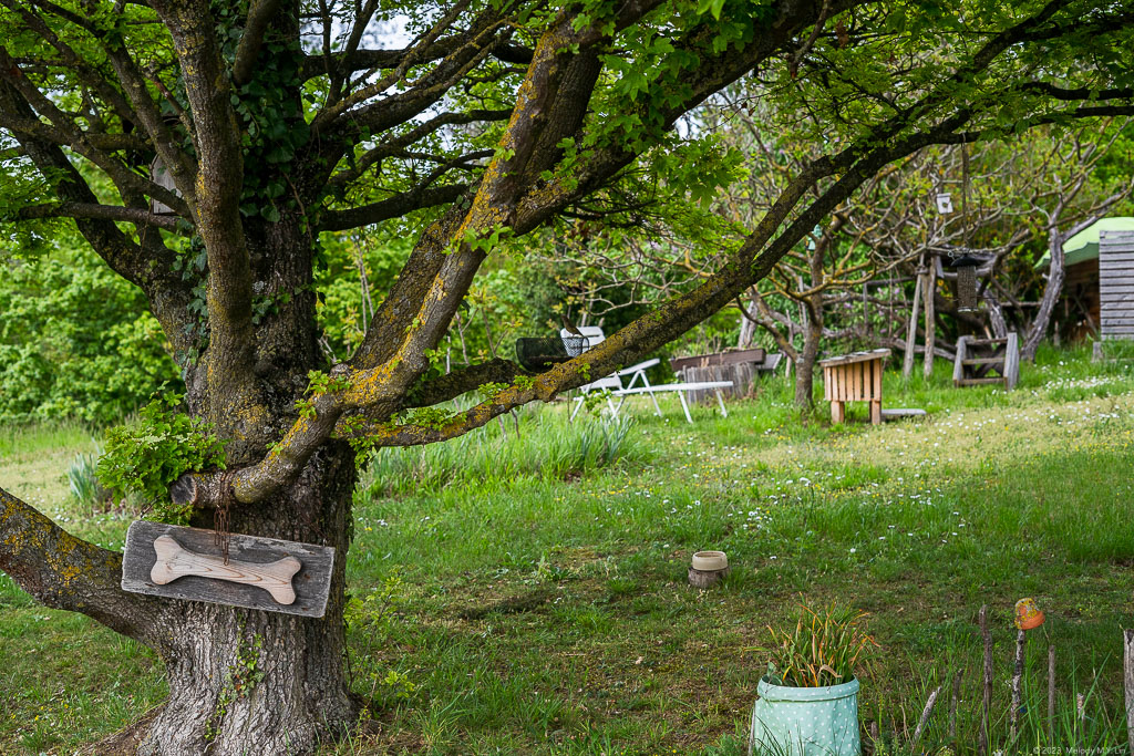 Someone's private yard had a chicken coop on it!