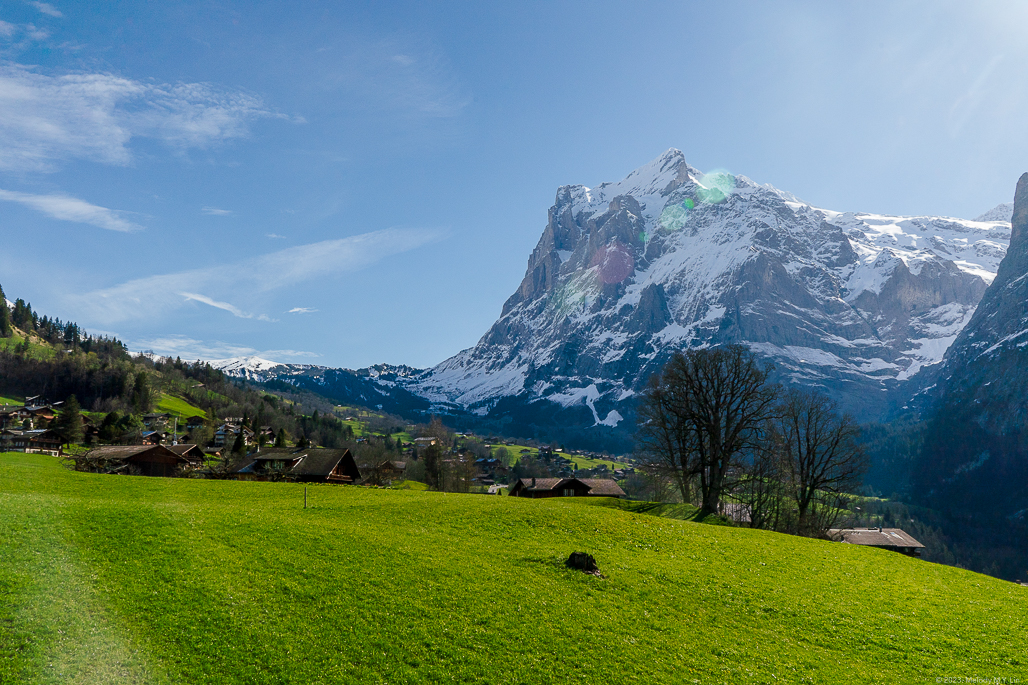 An expansive meadow lays out before the Wetterhorn mountain