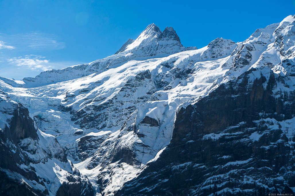 The summit of the Shreckhorn