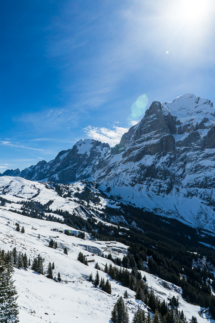 Snowy slopes and coniferous forest cover the mountainsides