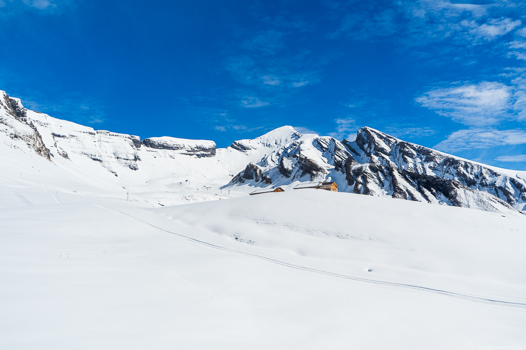 A snowfield with a yellow cabin in the middle