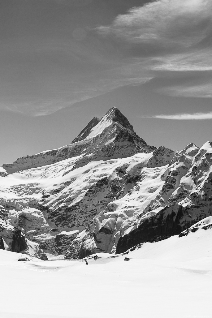 Schreckhorn over Bachalpsee