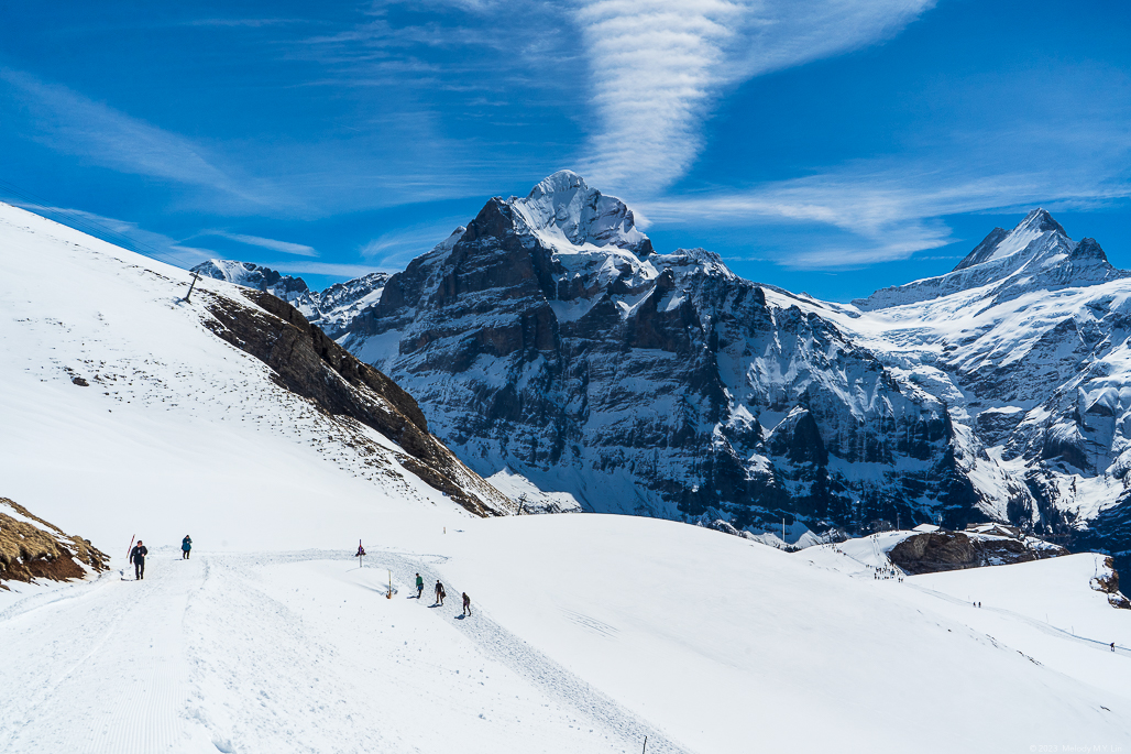 Hikers going up and coming down the Bachalpsee trail