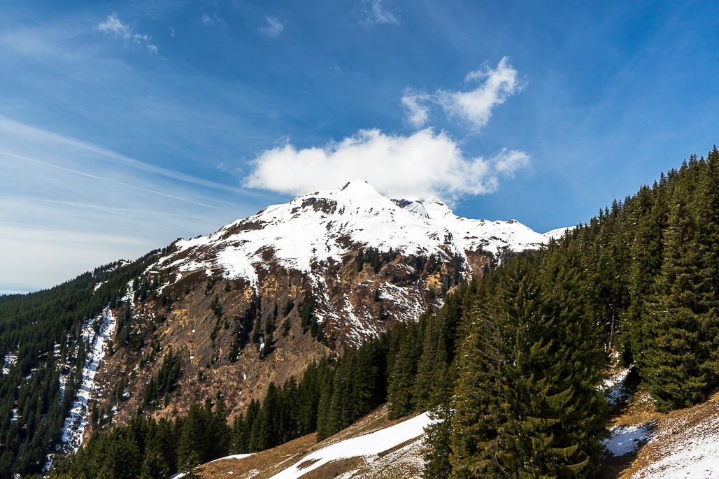 View of one of the peaks from below the snowline