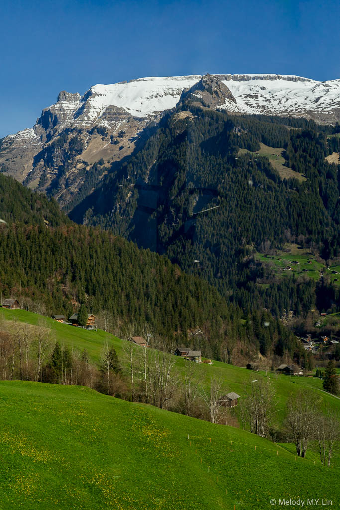 Grindelwald valley