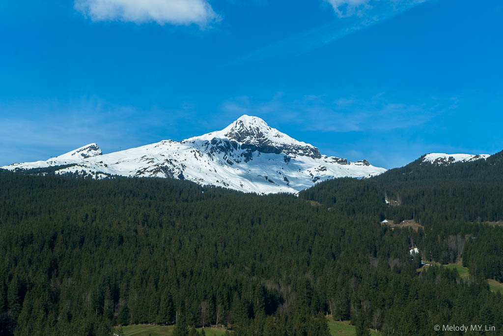 Schwarzhorn in the distance