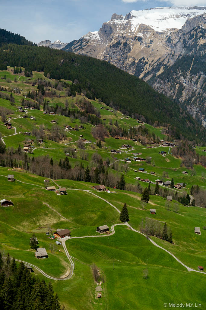 Rolling green slopes with the mountain peaks in back