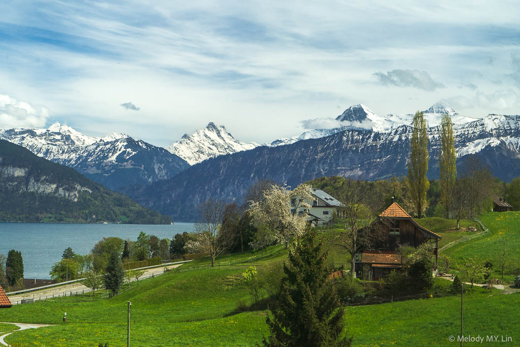 Villages along Thunersee with the Alps in the back