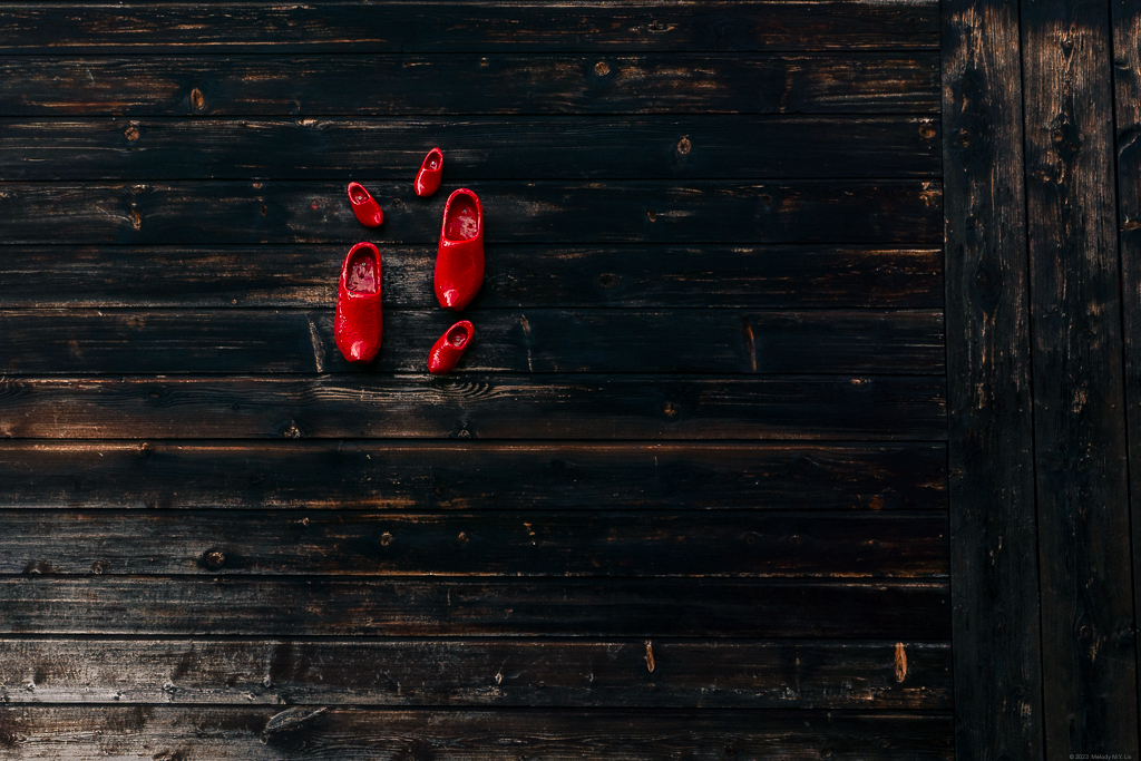 Red clogs on a dark, wooden wall