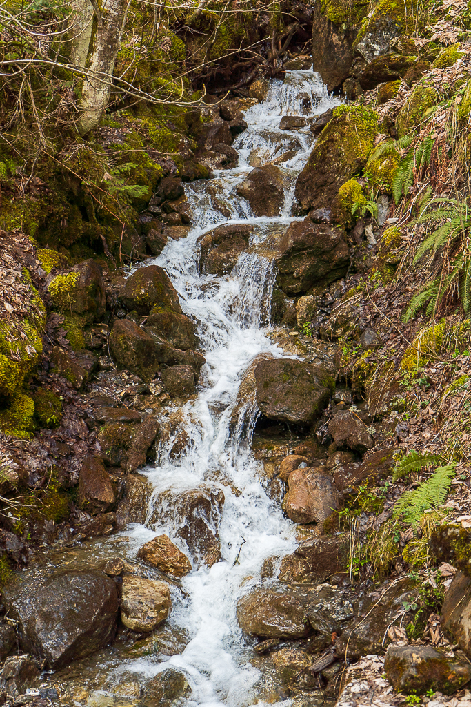 A fast creek running down the hill