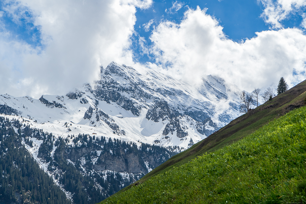 Snowy mountains and lush green hillside